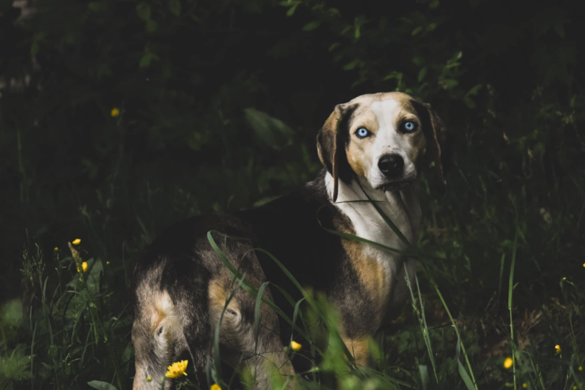 fbc80464-38b6-4416-b68f-90d9fef60423